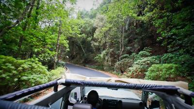 Fahr von Teneriffa aus nach La Gomera und entdecke die spektakuläre Landschaft während einer Tour mit einem Allrad-Jeep. Besuch den Nationalpark Garajonay und genieß ein traditionelles Mittagessen.